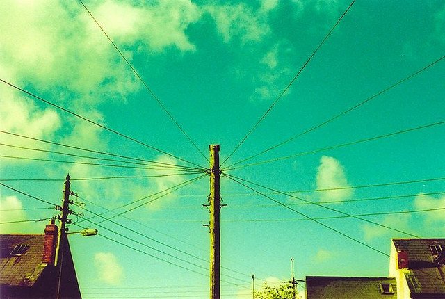 Crossed wires (foto: Bon Adrien)