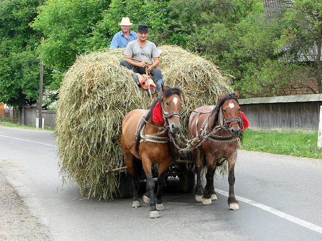 Rural Romania - Adam Jones, Ph.D./flickr Rural Romania - Adam Jones, Ph.D./flickr