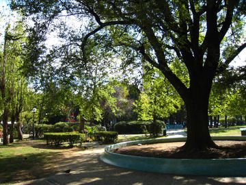 Trieste, giardini di Piazza Rosmini.jpg