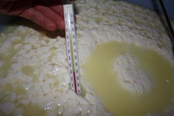 Misurazione temperatura del formaggio Misurazione temperatura del formaggio