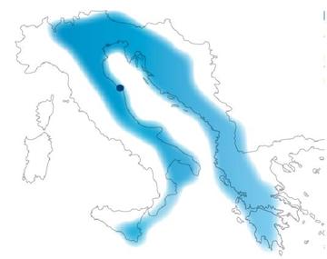 Macroregione adriatico-ionica