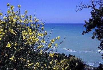 Mare Adriatico