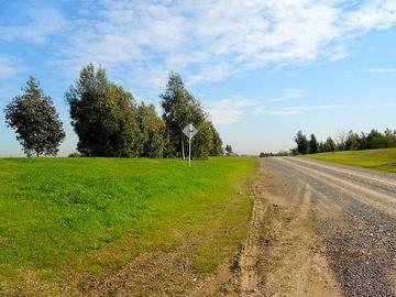 Strada di campagna