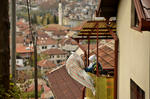 Sarajevo, Bosnia Erzegovina - Serena Marazzini (scattata il 3 novembre 2013)