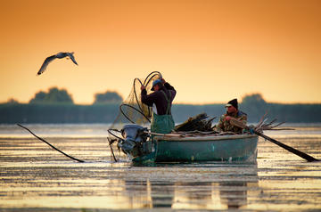 Fishermen along the Danube Delta, Calin Stan