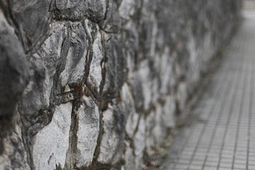Muro, foto di Rahego - Flickr.com.jpg