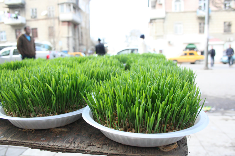 Novruz Novruz