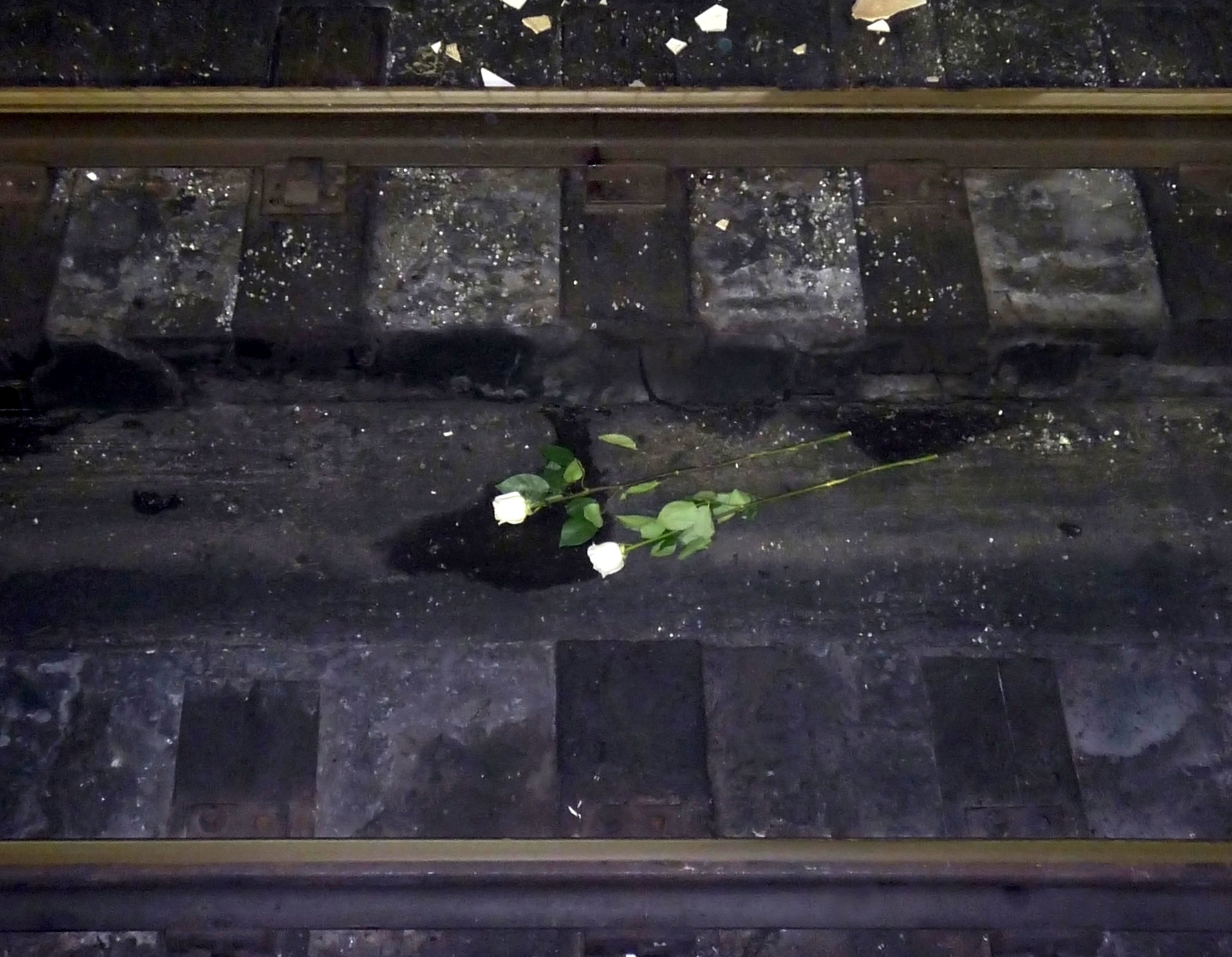 Un fiore alla stazione Park Kultury