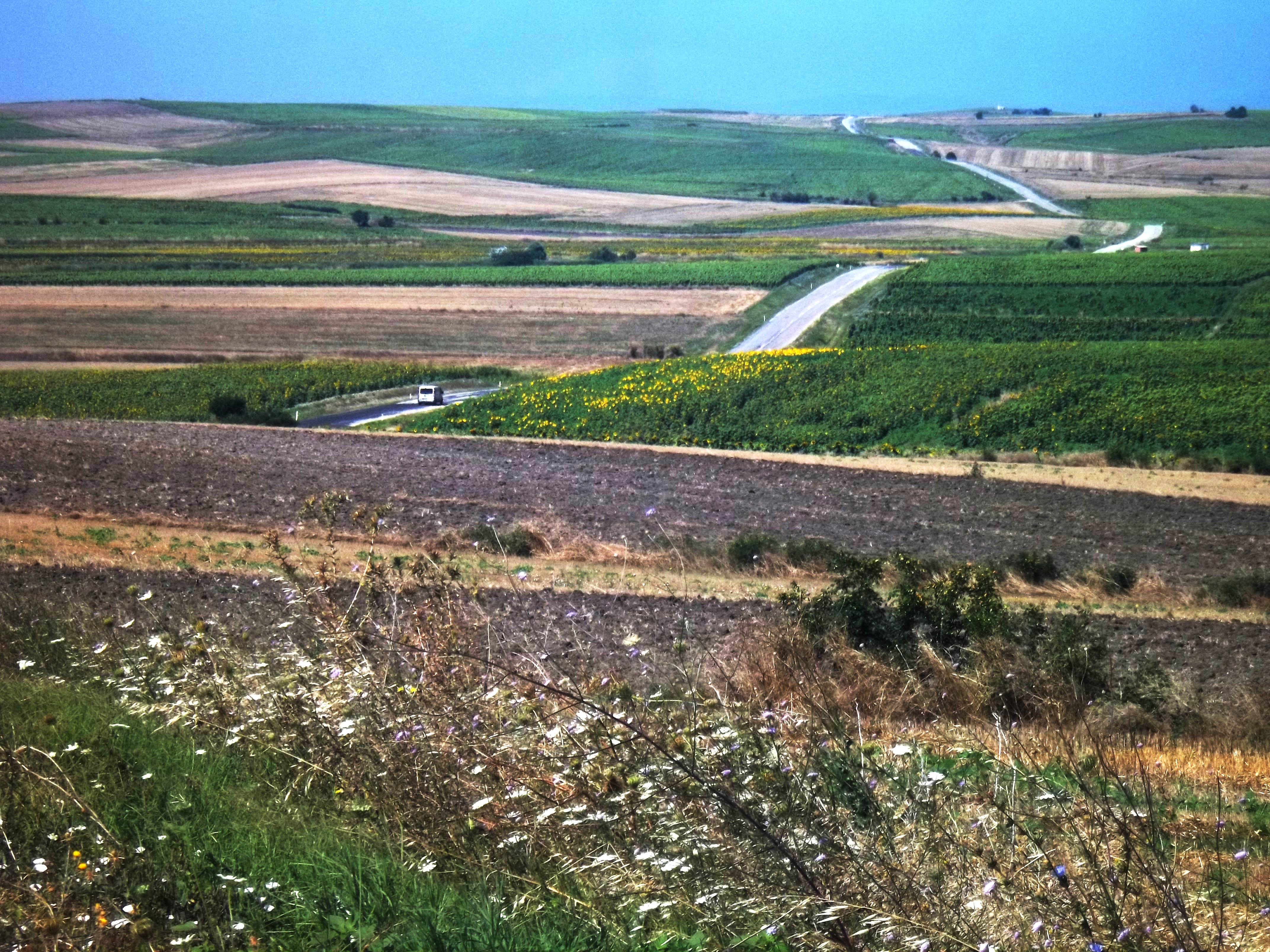 Eastern Thrace, near the Evros river - P.Martino