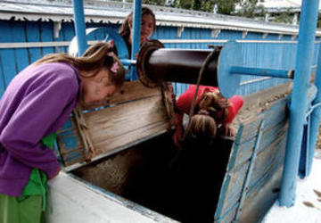 Gli-orfani-bianchi_large