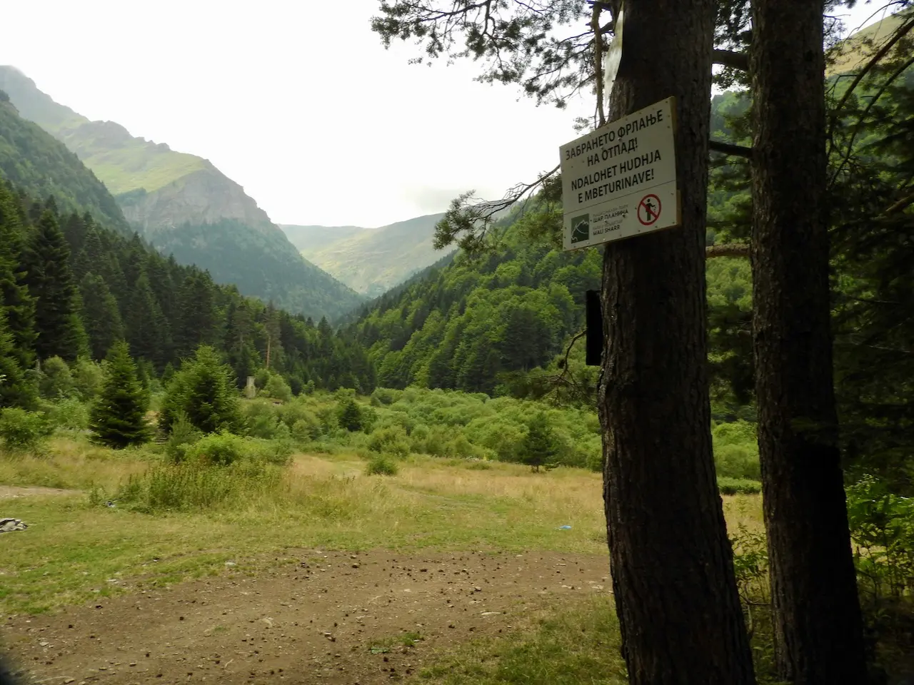 radura e montagne boscose radura e montagne boscose