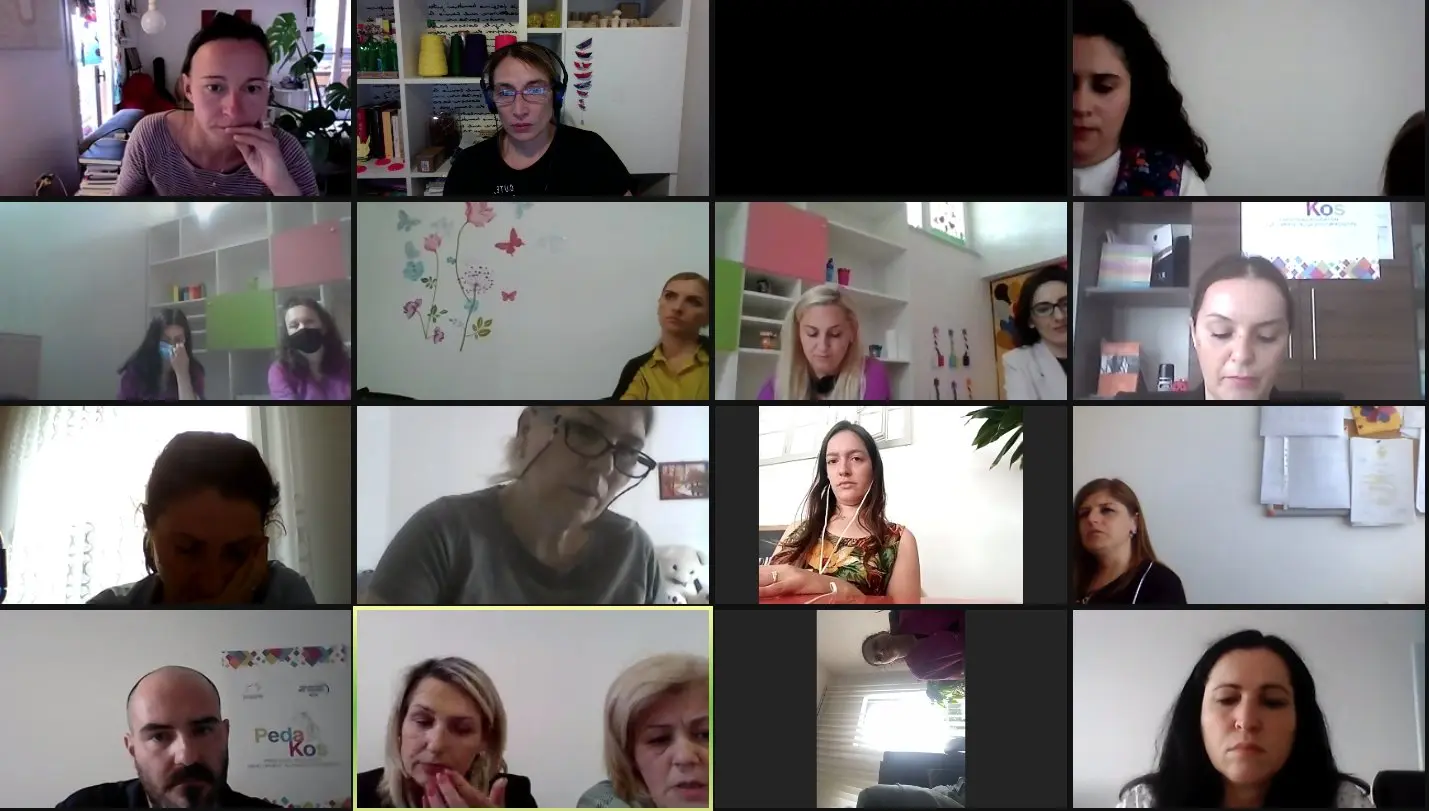 Un momento dei webinar Pedakos Un momento dei webinar Pedakos