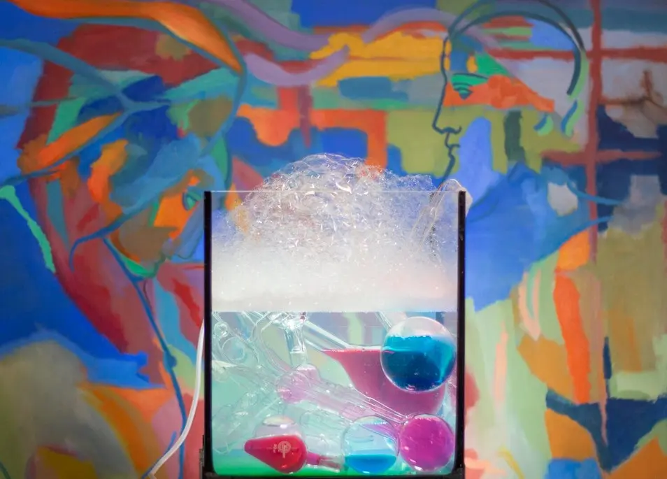 Gala Bell, Aquarium series, 2018. Dimensions variable. Gala Bell, Aquarium series, 2018. Dimensions variable.