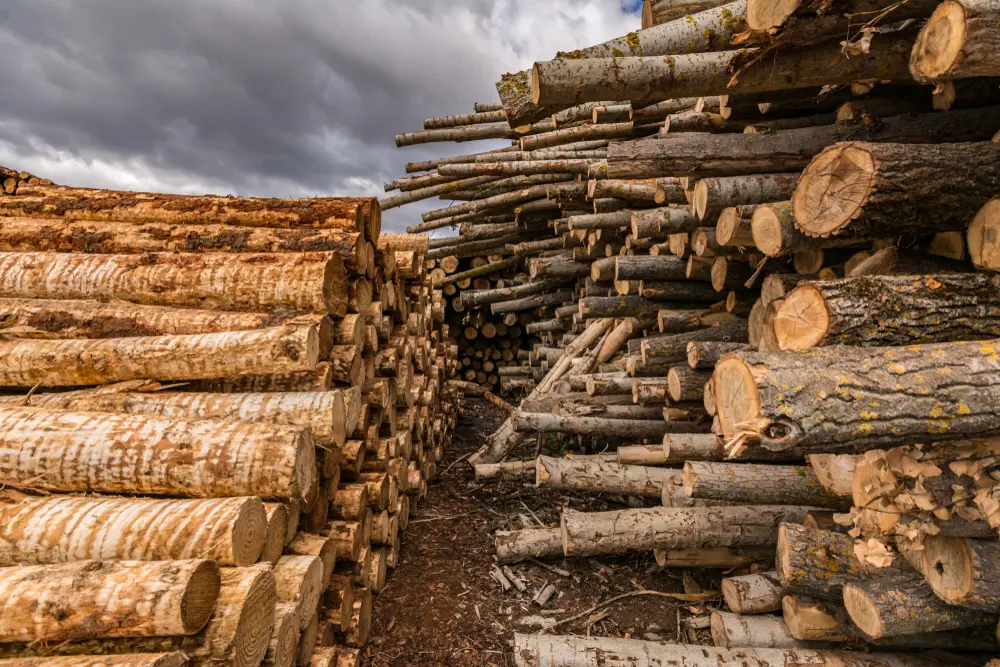 © Juan Enrique del Barrio/Shutterstock