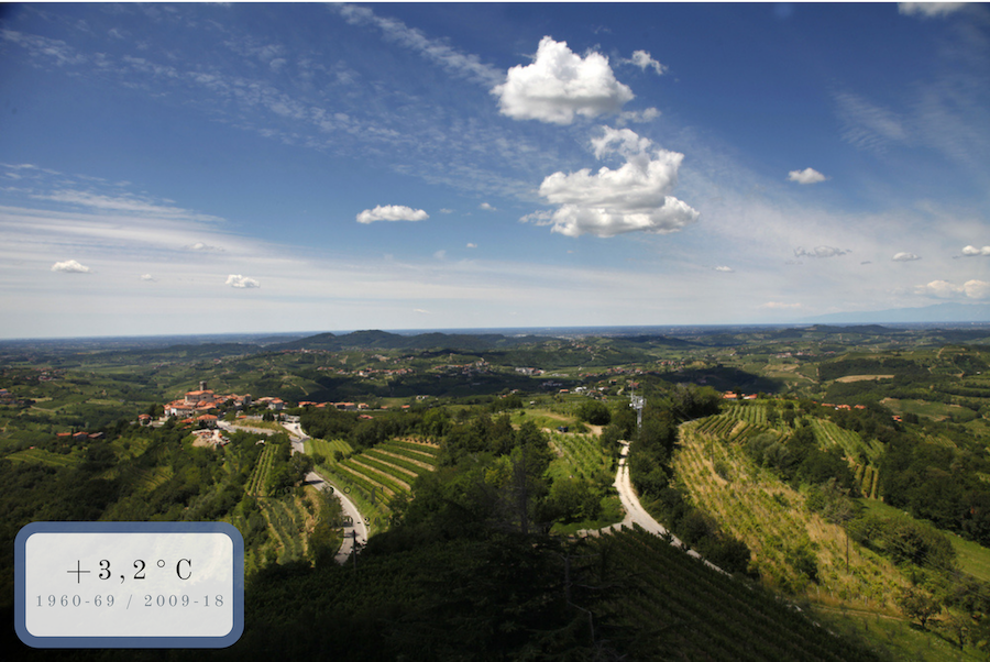 colline con vigneti e un paese colline con vigneti e un paese