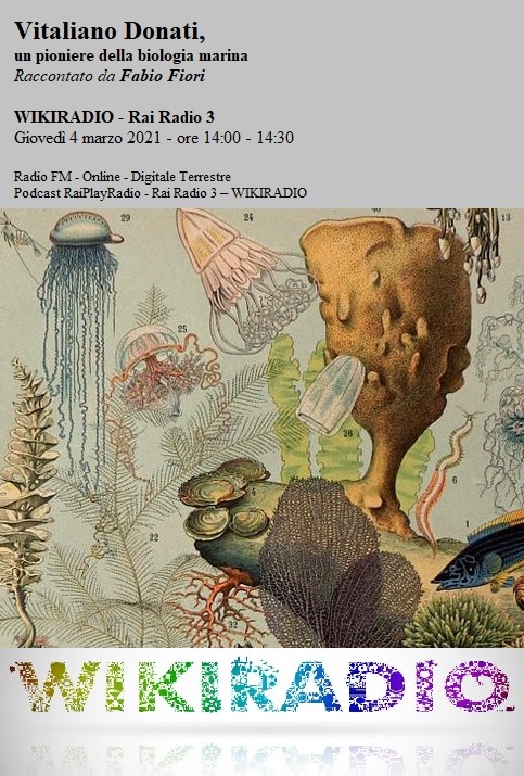 Appuntamento su WikiRadio Appuntamento su WikiRadio