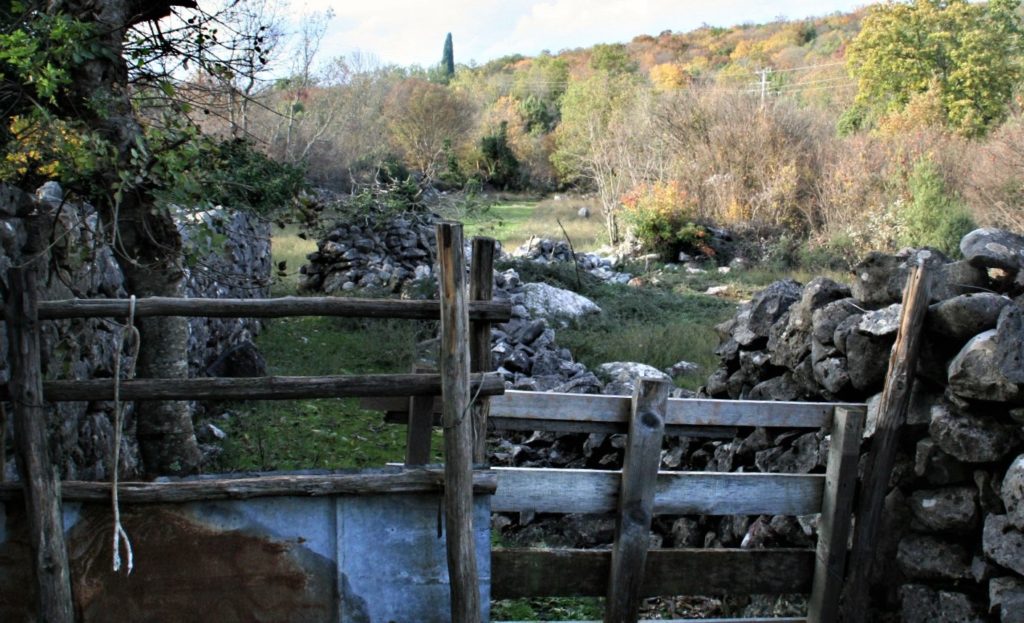 Campagna disegnata dai muretti a secco - Mariangela Pizziolo Campagna disegnata dai muretti a secco - Mariangela Pizziolo