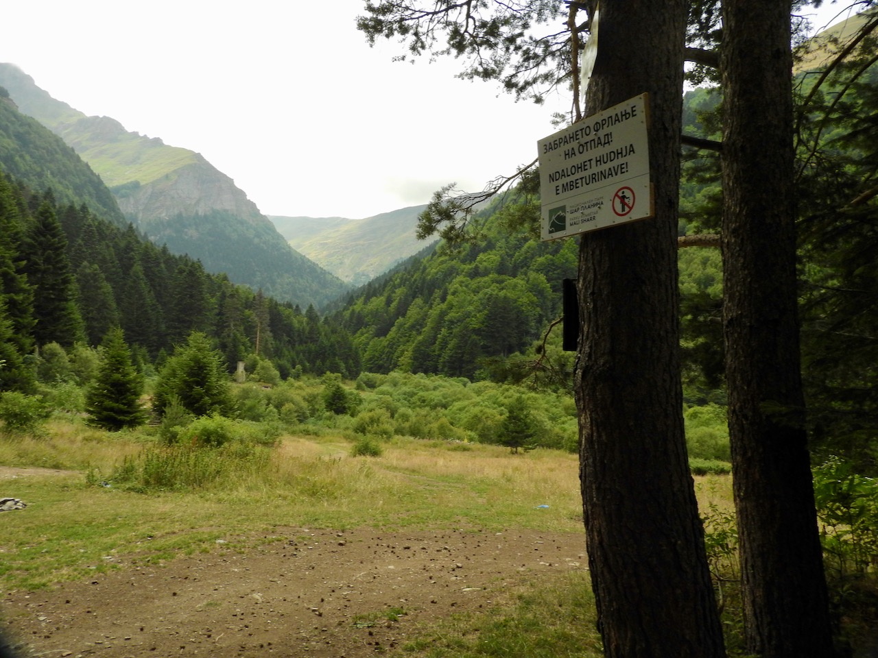 radura e montagne boscose radura e montagne boscose