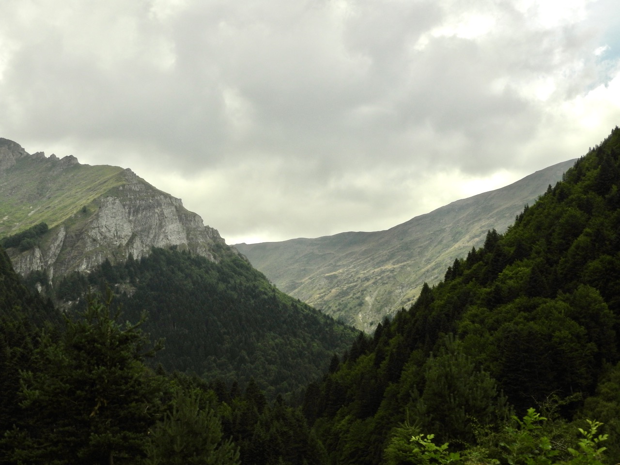 boschi e montagne rocciose con cielo nuvoloso boschi e montagne rocciose con cielo nuvoloso