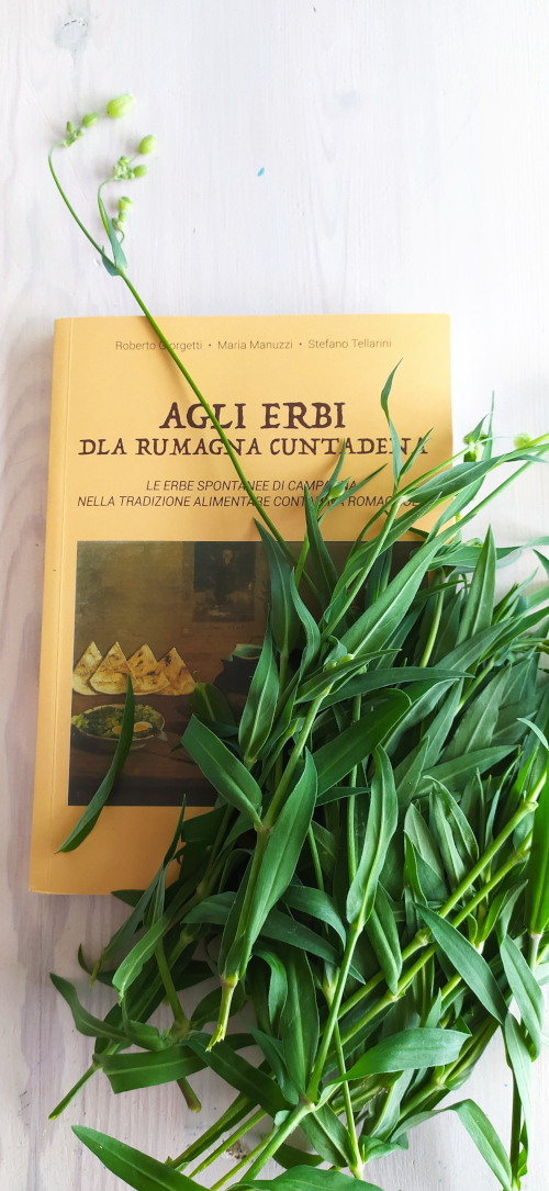 Foto di Fabio Fiori Foto di Fabio Fiori