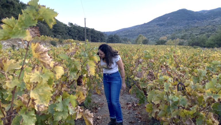 Grecia-tra-i-vigneti-una-generazione-di-giovani-agricoltrici