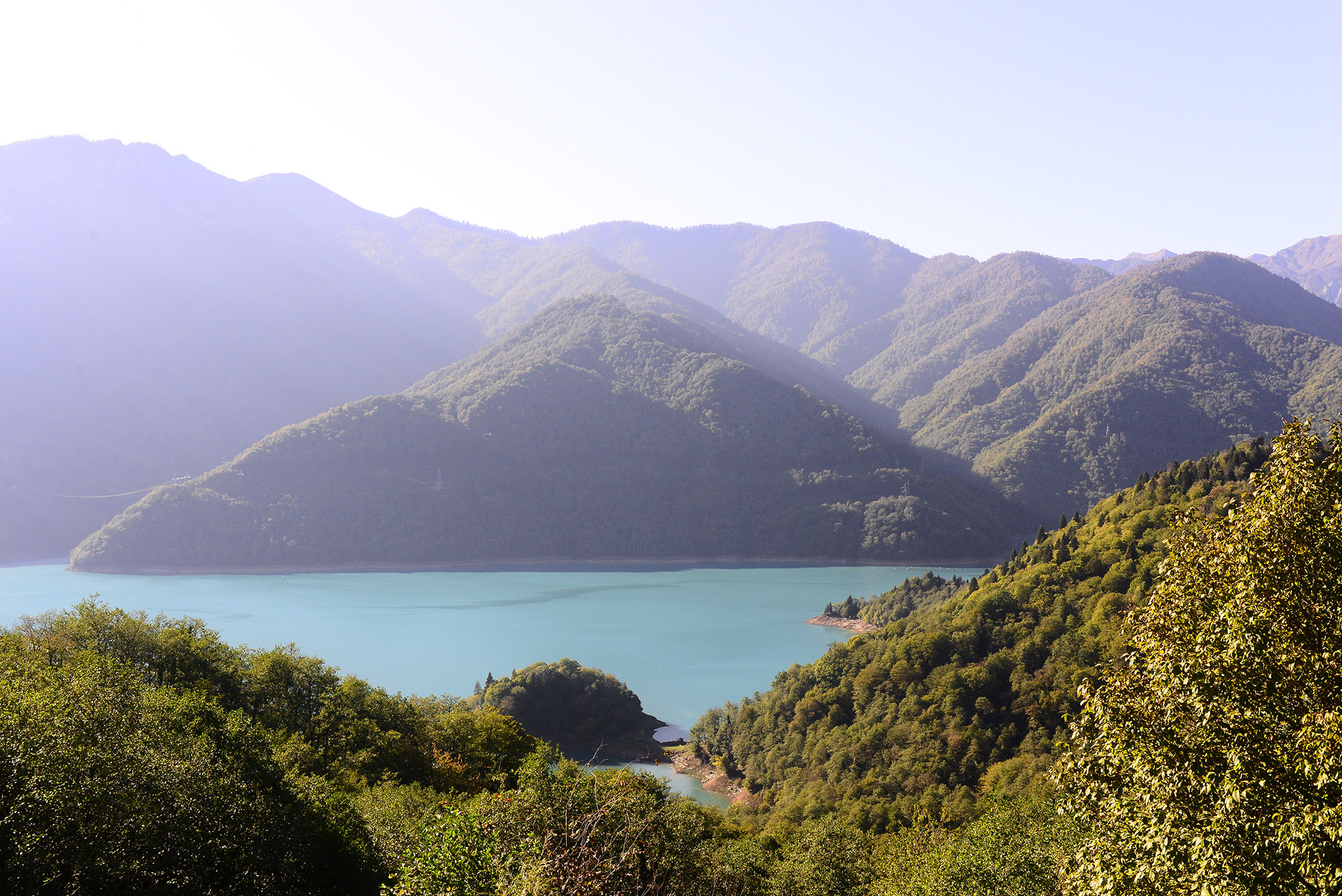 I boschi di Samegrelo. Foto: Salome Kinkladze / OC Media