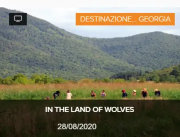 IN THE LAND OF WOLVES IN THE LAND OF WOLVES