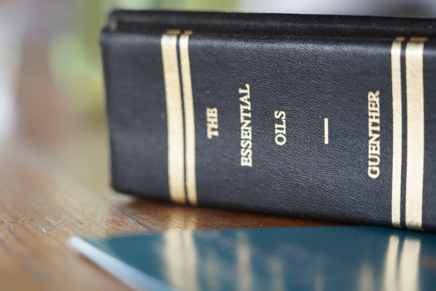 Il libro conservato da Guerino sulla distillazione delle erbe officinali - foto di Davide Sighele Il libro conservato da Guerino sulla distillazione delle erbe officinali - foto di Davide Sighele