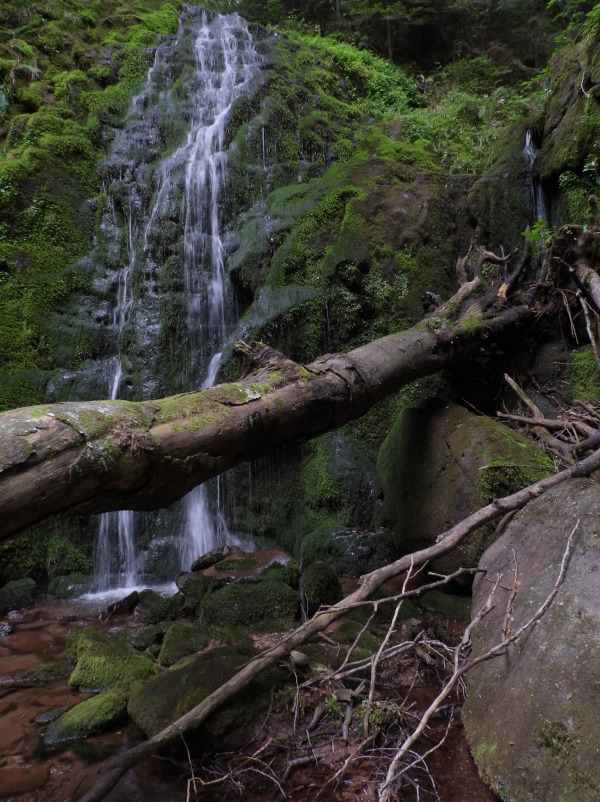 Il torrente a Topli Do - foto di Marco Ranocchiari