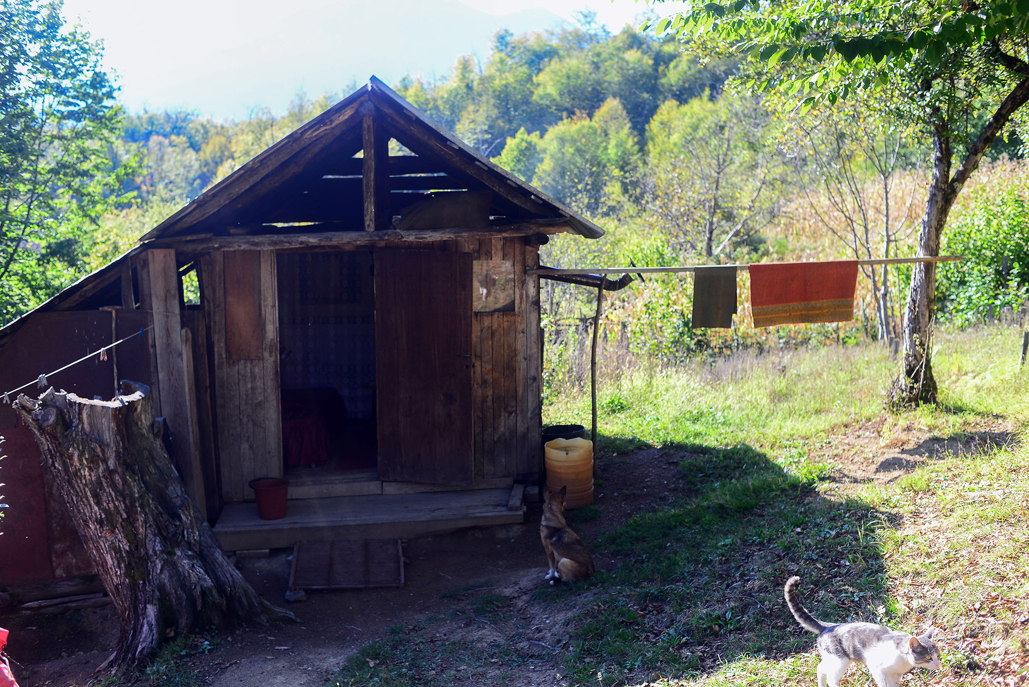 La baita di Medea. Foto: Salome Kinkladze / OC Media