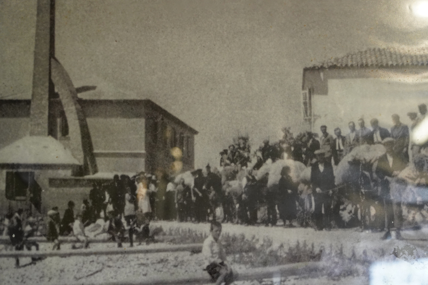 La consegna delle erbe spontanee raccolte a San Martino La consegna delle erbe spontanee raccolte a San Martino