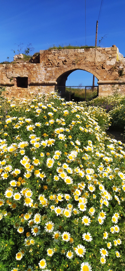Le mura di Chanià - foto di Fabio Fiori