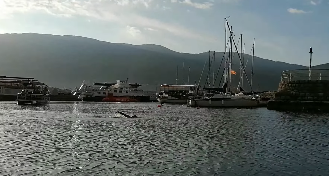 Marko-Pejcinovski-il-giovane-nuotatore-che-ispira-la-Macedonia-del-Nord