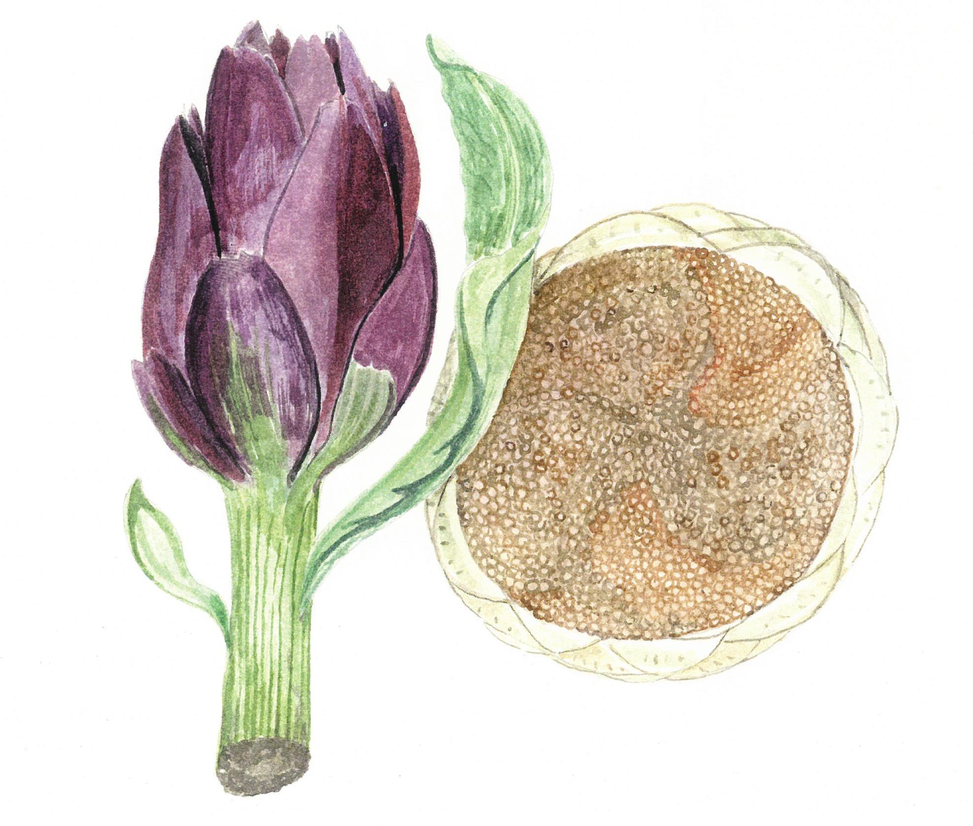 “Quattro risi. Piatti e storie di vecchia cucina veneziana”, Luigi Divari, (Il Leggio, pp. 110, 22 €) “Quattro risi. Piatti e storie di vecchia cucina veneziana”, Luigi Divari, (Il Leggio, pp. 110, 22 €)