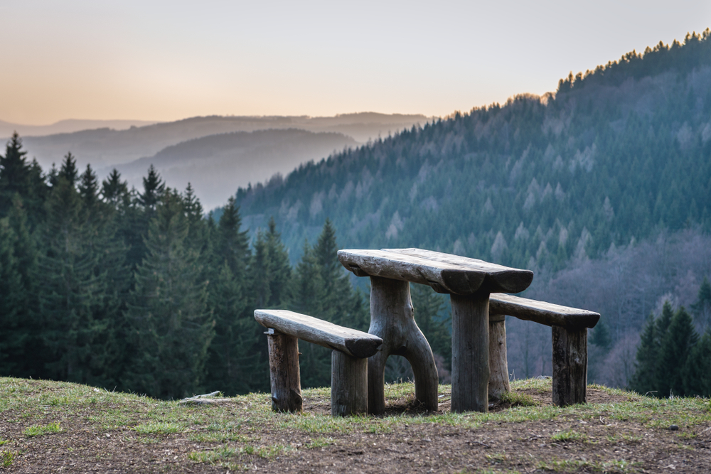 Rotta-balcanica-e-violenza-sui-migranti-le-bestie-e-noi