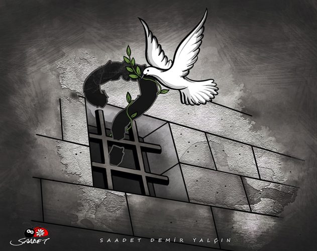 Saadet Demir Yalçın Saadet Demir Yalçın