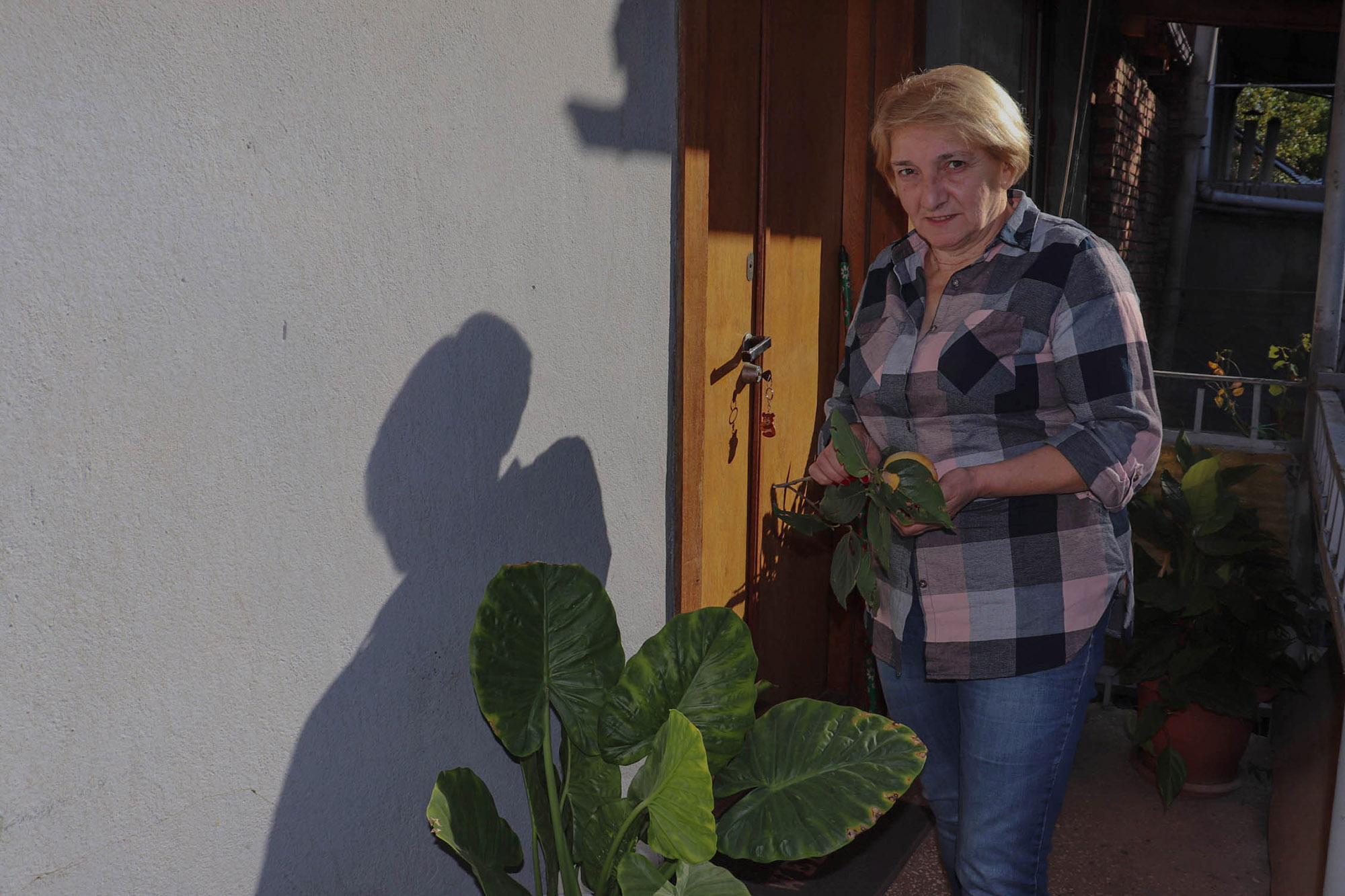 Marina Sujashvili, guardiaboschi