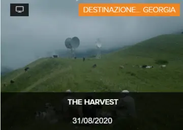 THE HARVEST THE HARVEST
