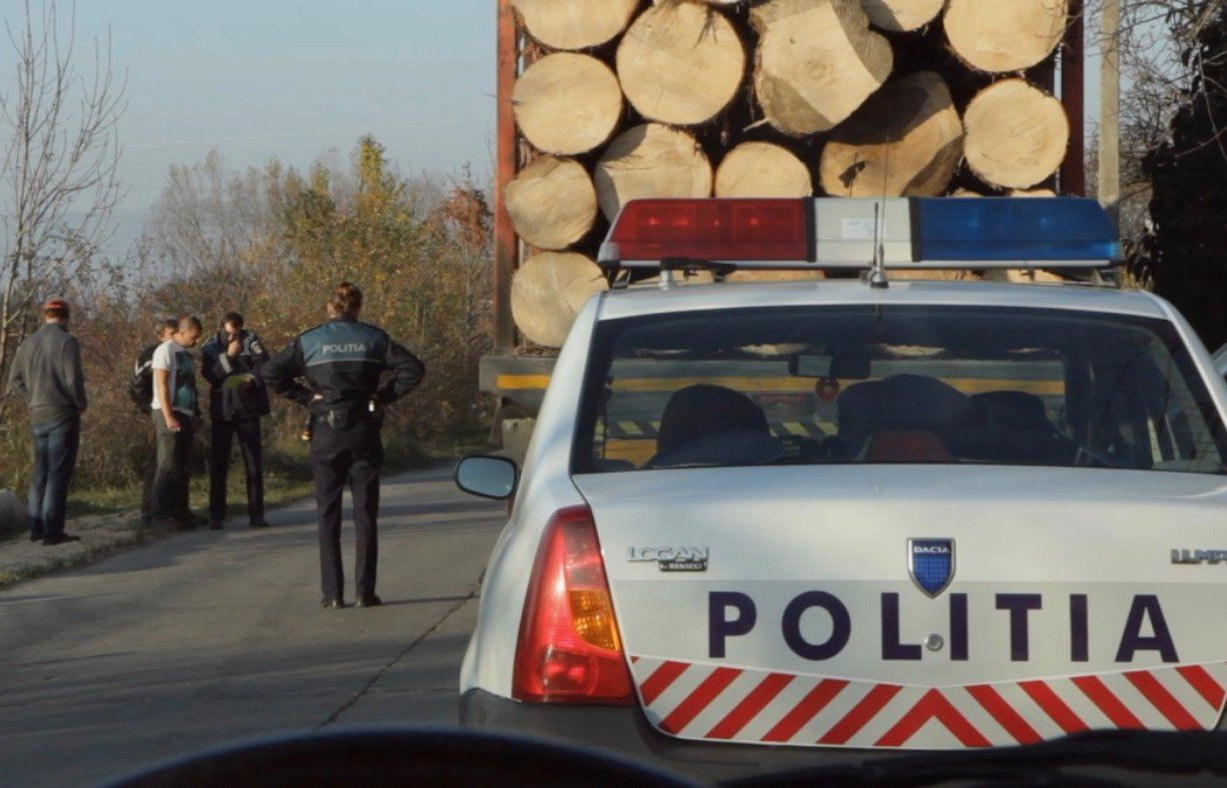 Trento-e-Bergamo-film-festival-edizioni-in-streaming