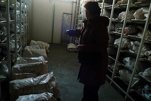 Tuzla, nella sede dell'ICMP (Foto Gughi Fassino)