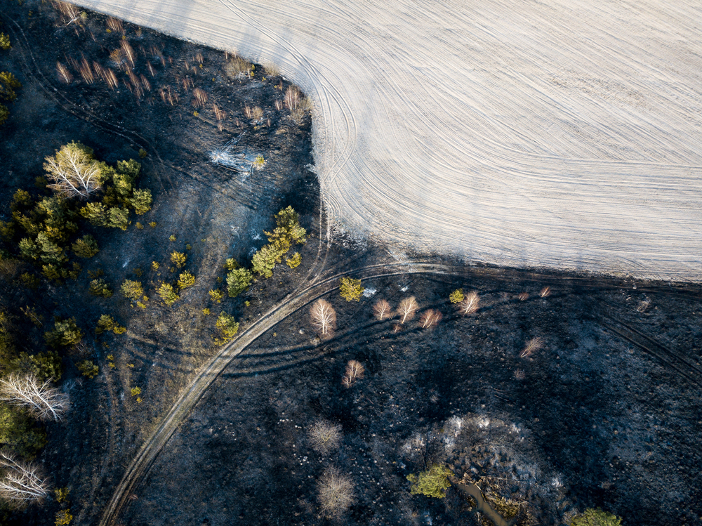 Ucraina-la-guerra-fa-aumentare-anche-gli-incendi-boschivi