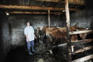 Un'allevatrice a Sućeska, Srebrenica (Foto Bianca Pasquini) Un'allevatrice a Sućeska, Srebrenica (Foto Bianca Pasquini)
