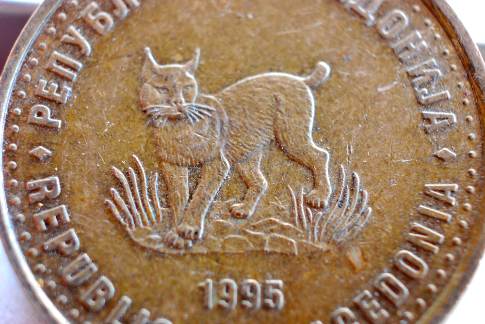 Un esemplare di Lince balcanica raffigurata su una moneta della Macedonia del Nord - © agrofruti/Shutterstock