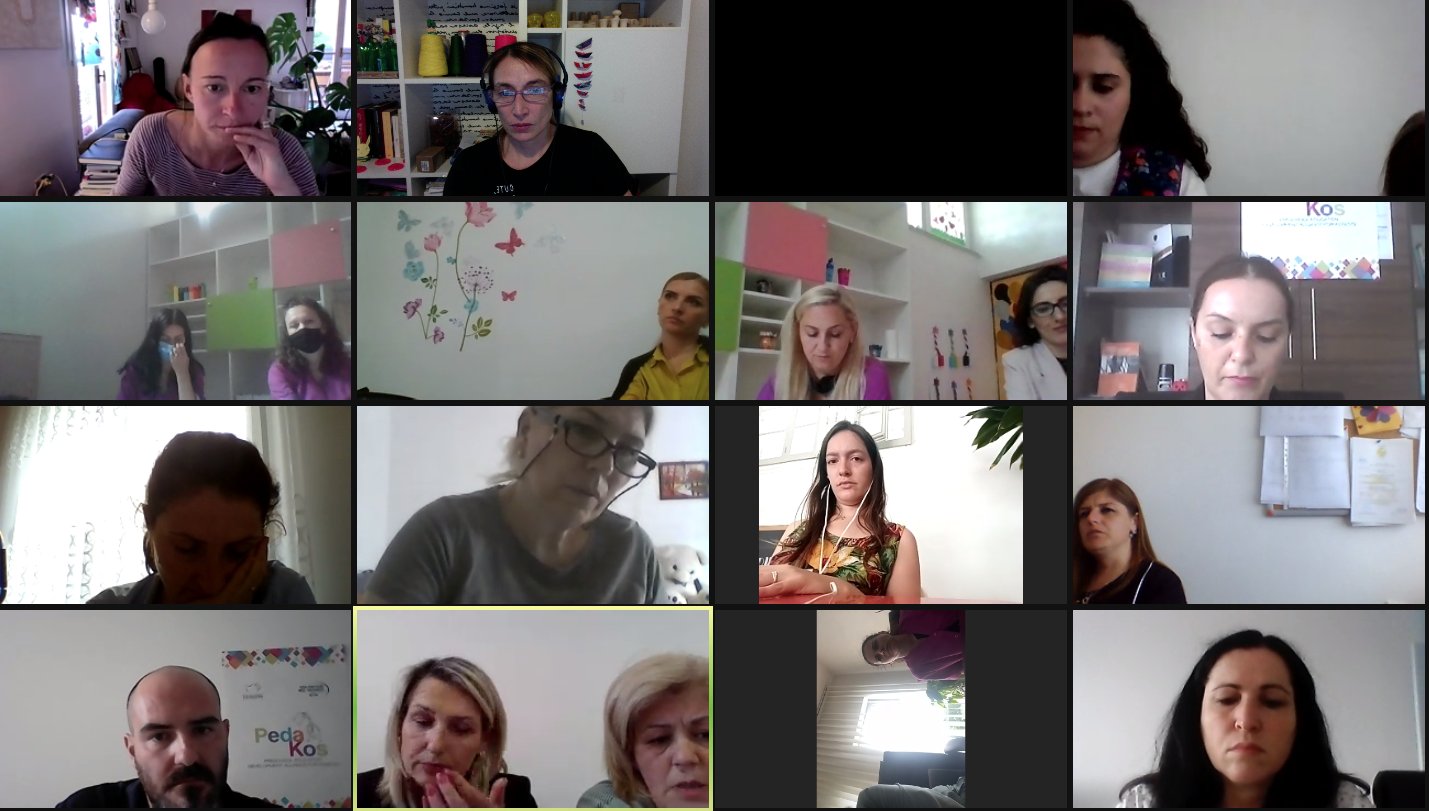 Un momento dei webinar Pedakos