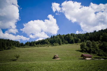 I campi attorno a Zelenkovac vengono falciati dai volontari I campi attorno a Zelenkovac vengono falciati dai volontari