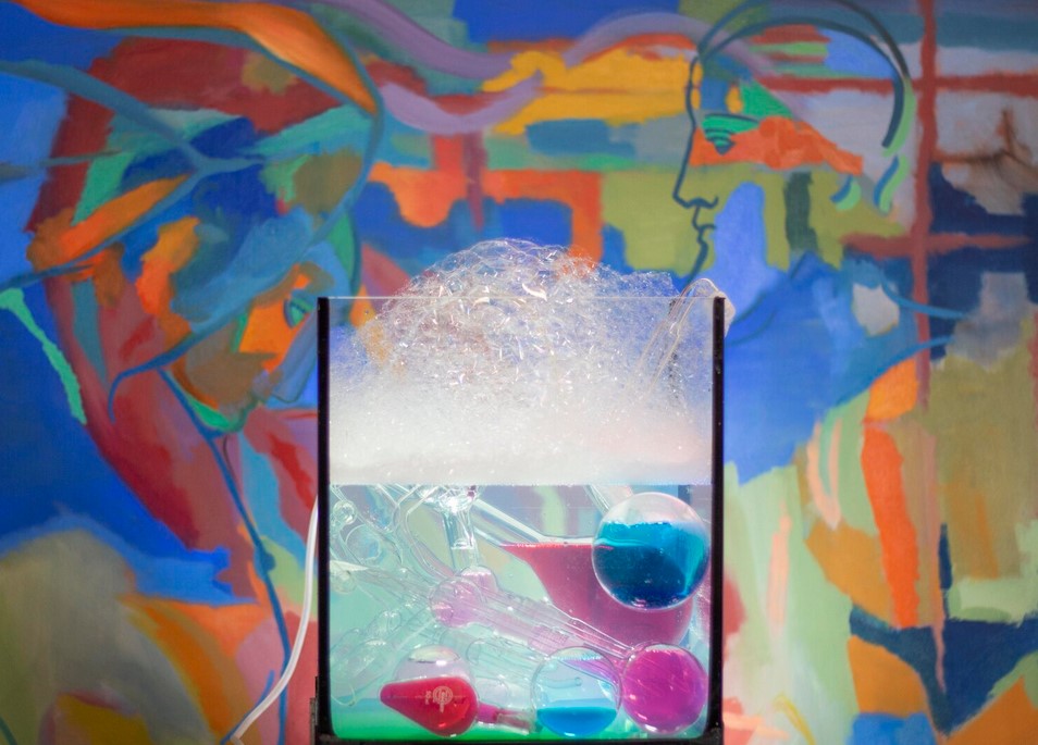 Gala Bell, Aquarium series, 2018. Dimensions variable. Gala Bell, Aquarium series, 2018. Dimensions variable.