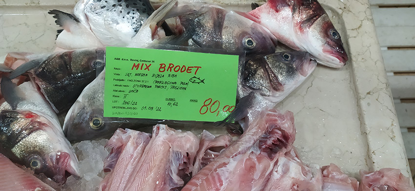 Brodetto (foto F. Fiori)