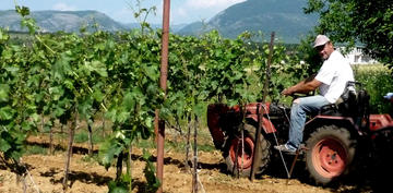 Uno dei soci della cooperativa