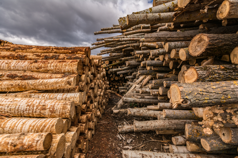 © Juan Enrique del Barrio/Shutterstock