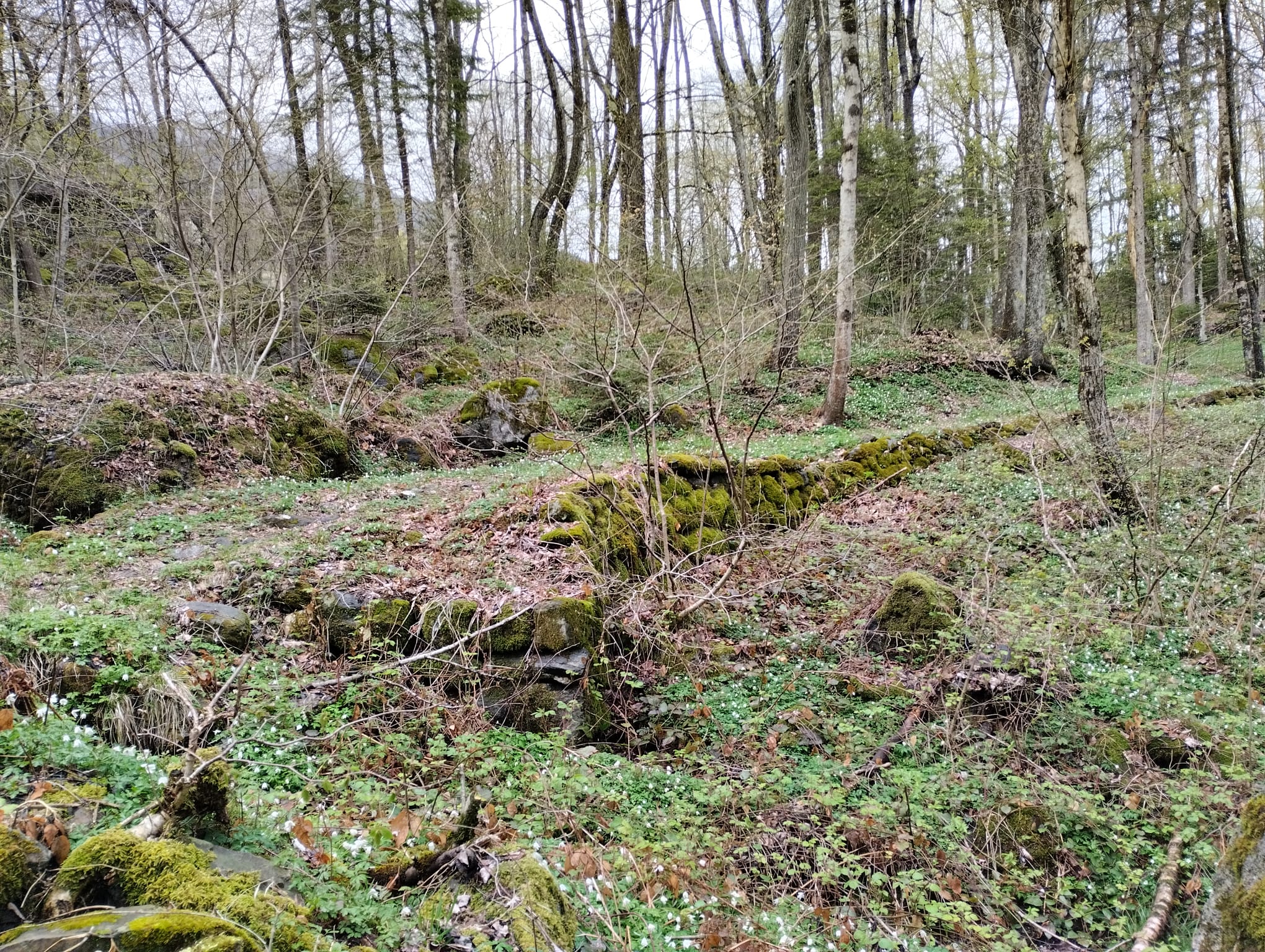 I resti ancora visibili della “via dei bosniaci” presso Tione di Trento. Foto di Marco Abram I resti ancora visibili della “via dei bosniaci” presso Tione di Trento. Foto di Marco Abram